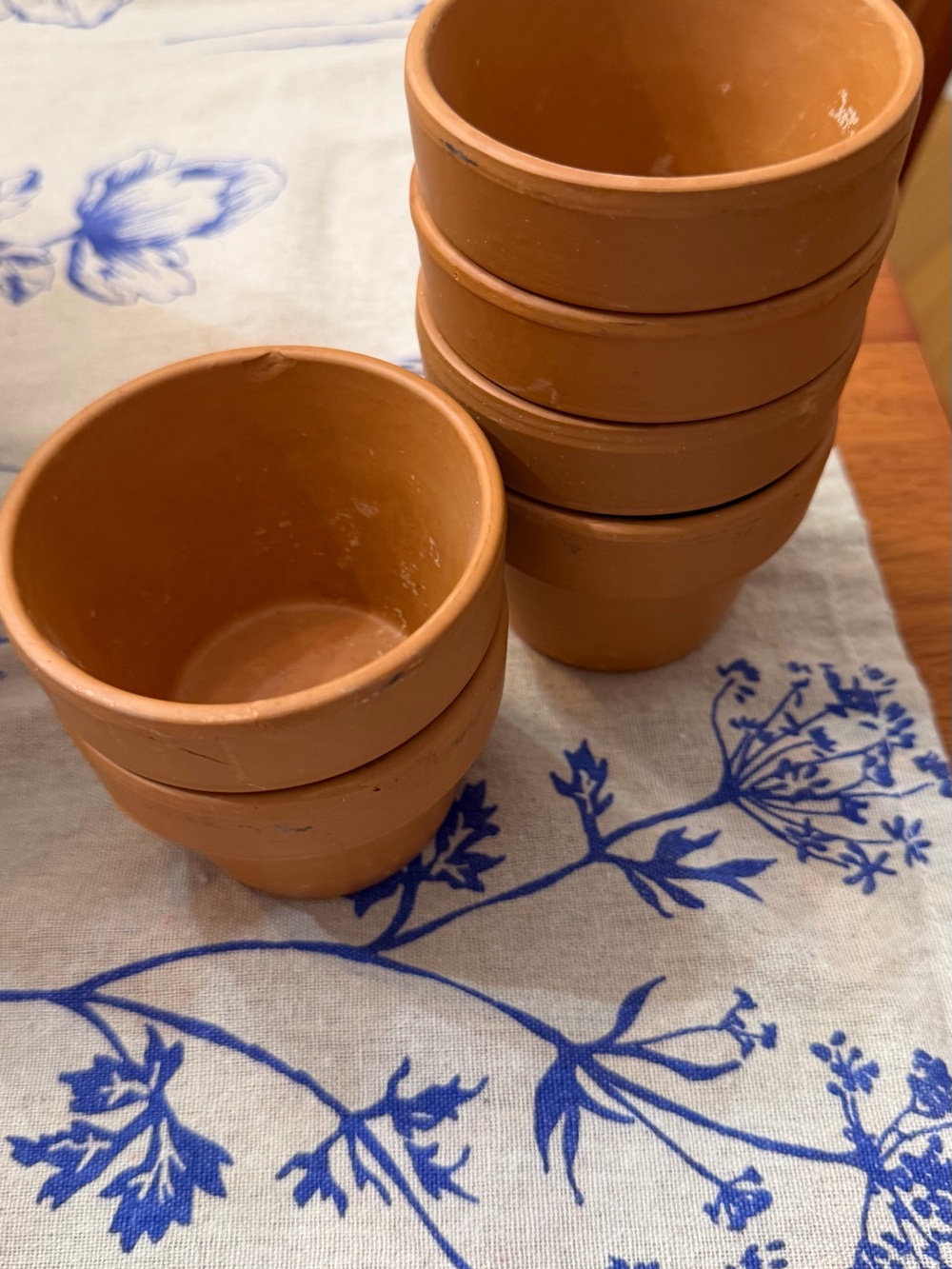 Terracotta Clay Baking Pots - Set of 6